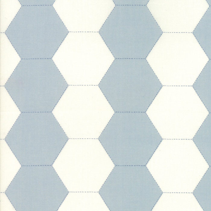 Victoria Blue Eyes Courtyard Yardage SKU# 44162-12 continuous cut in 1/2 yard