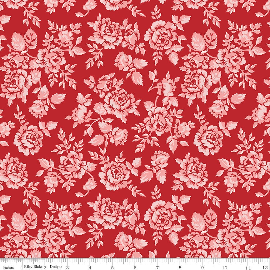 Home Town Schoolhouse Parry Yardage C13580-Schred by Lori Holt for Riley Blake Designs Sold in 1/4 yard increments cut contiguously