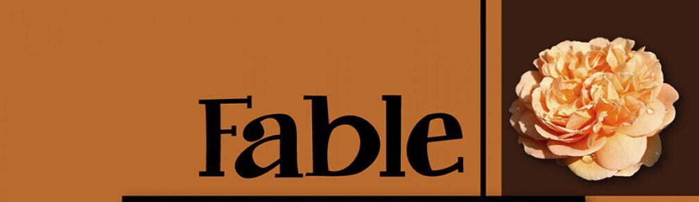 Fable Quilt Pattern Card by Villa Rosa Designs finished size 40in x 56in