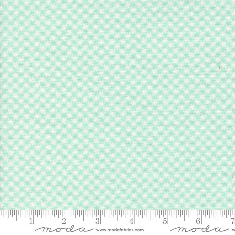 Jelly & Jam Gingham Mason Jar Yardage 20495-18 by Fig Tree and Co. for Moda Fabrics Sold in 1/2 Yard Increments