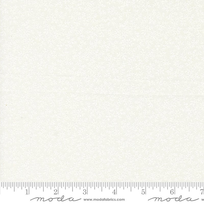 a ruler is shown with a white background