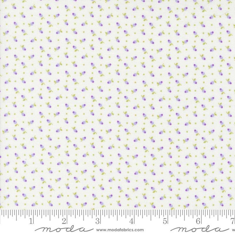 a white background with purple and yellow dots