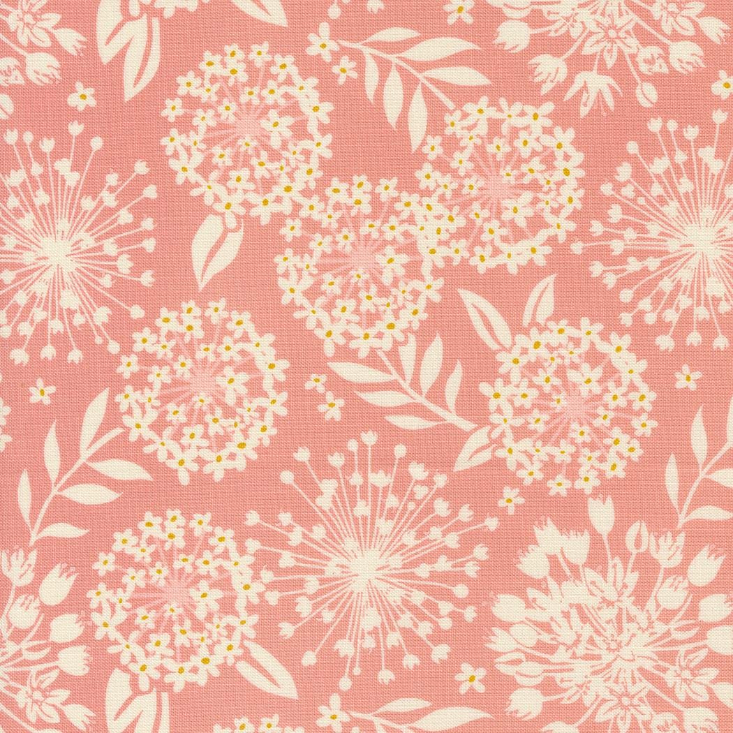a pink background with white flowers and leaves