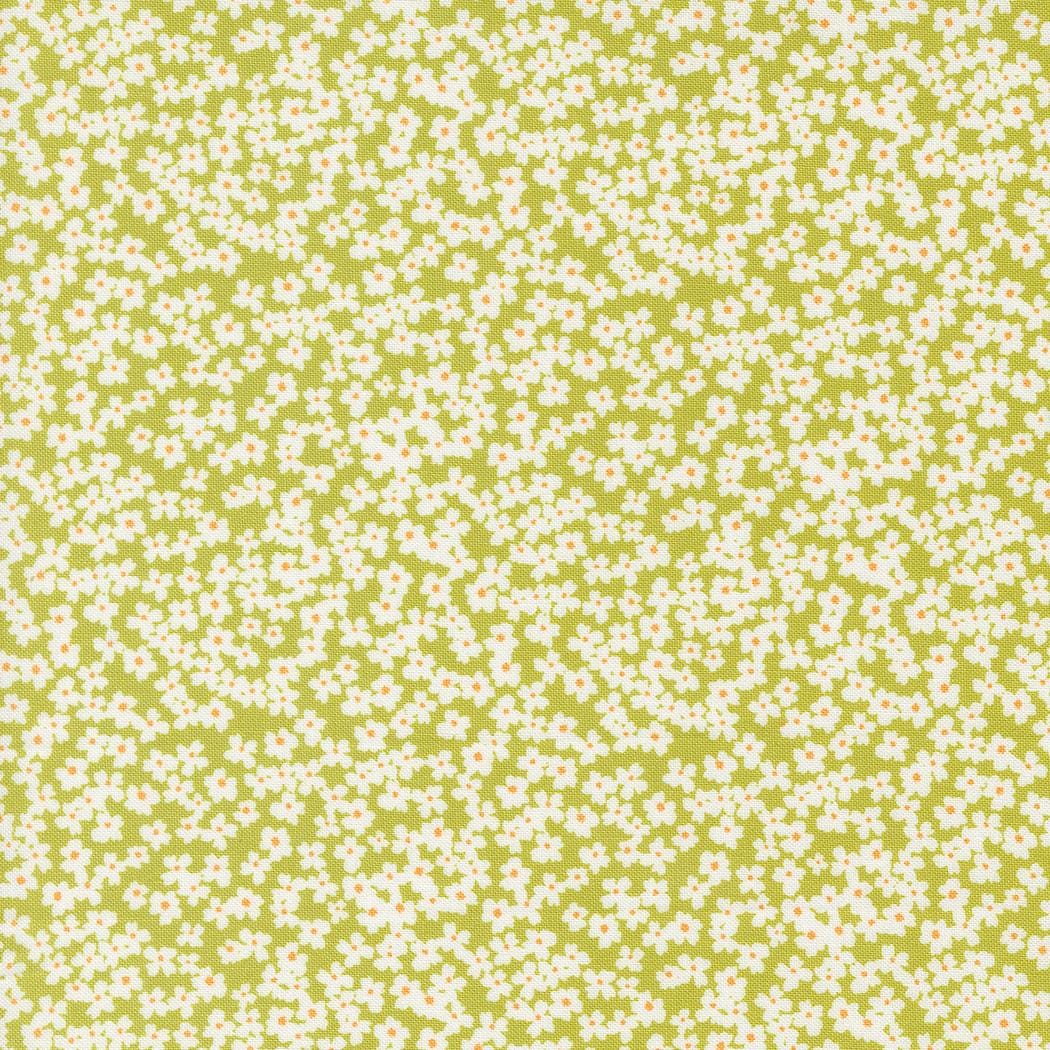 a green and white background with small white flowers