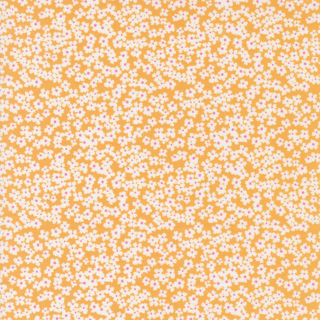 a yellow and white background with small white flowers