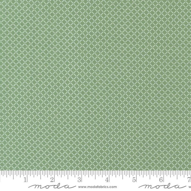 a ruler is shown with a green background