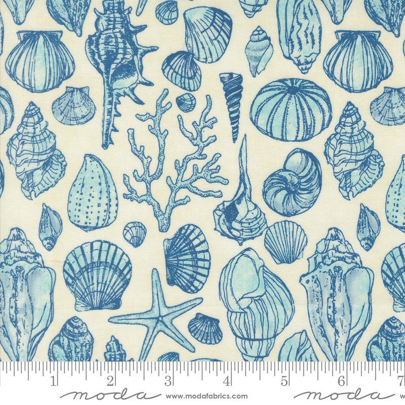 a close up of a blue and white pattern of seashells