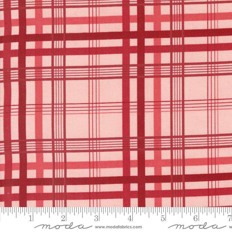 a red and white plaid fabric with a ruler