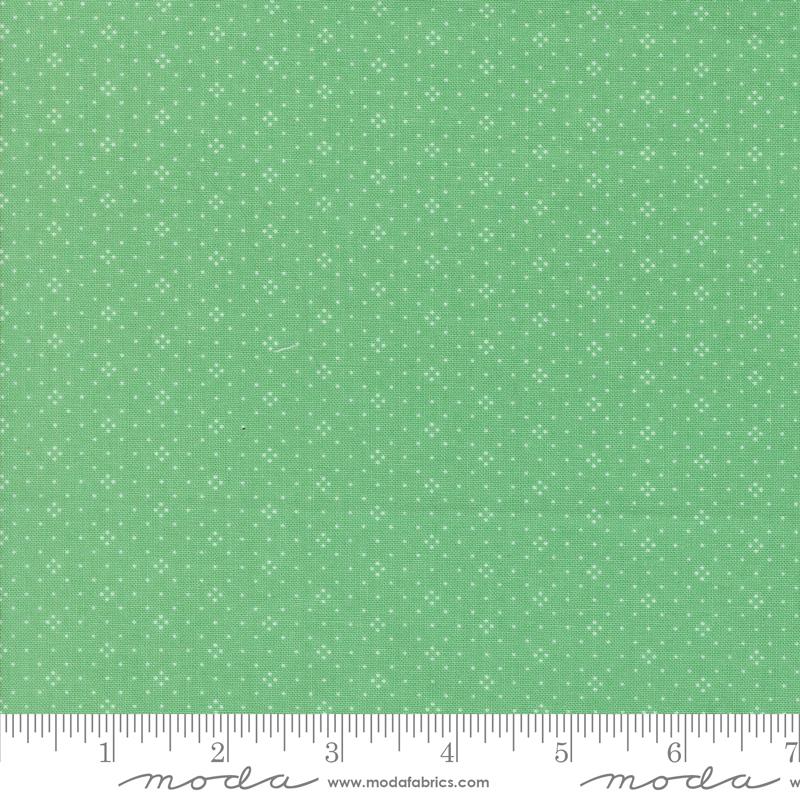 a ruler with a green background with white dots