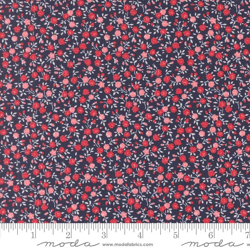 a red and blue floral print on a black background