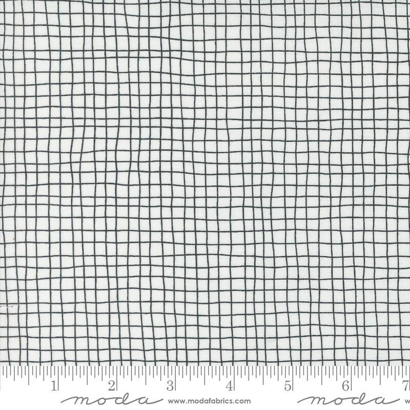 Noir Mummy Wrap Ghost Yardage 11547-11 by Alli K Design Sold in 1/2 yard increments