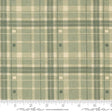 a fabric with a green and beige plaid pattern, featuring a repeating diagonal grid-like design. The fabric appears to be a textile or material with a plaid pattern, which is a type of textile design characterized by diagonal or crisscrossing lines. The fabric is displayed on a ruler for scale, indicating its size or dimensions.