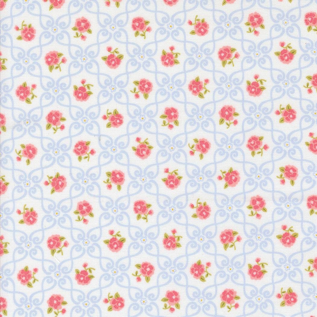 a repeating pattern of pink flowers on a light blue background with a white border.