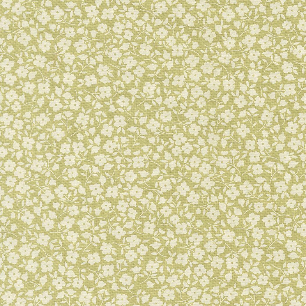 a repeating pattern of small white flowers on a light green background.