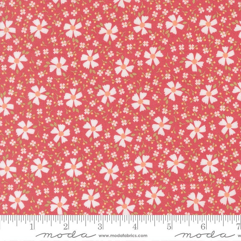 a repeating pattern of white flowers on a red background.