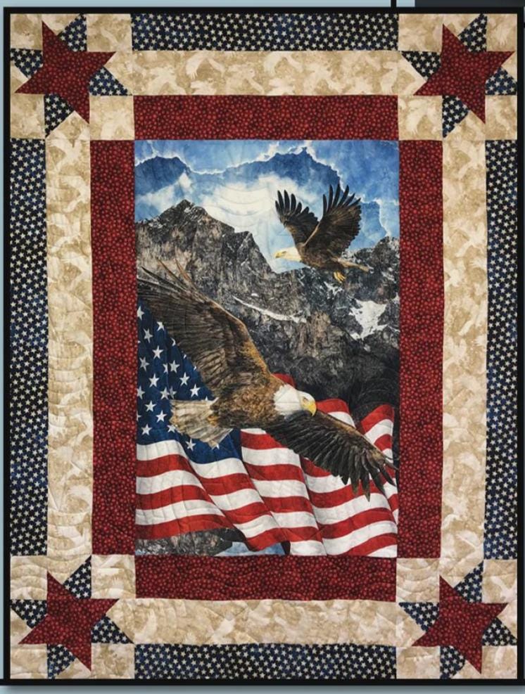 Daring Spirit Quilt Pattern From Villa Rosa Designs - size 50" x 68"
