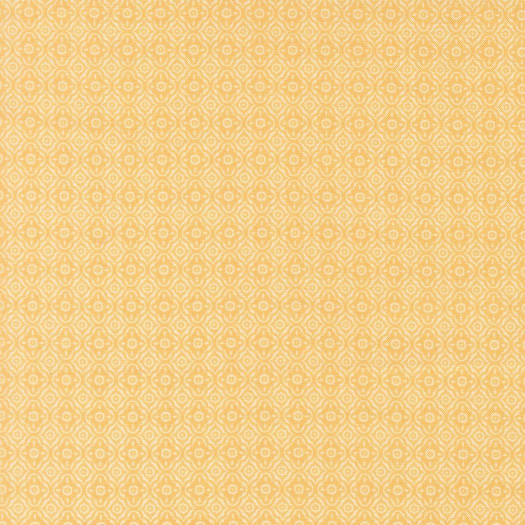 a repeating pattern of small white circles arranged in a diagonal grid, creating a visually striking and symmetrical design.