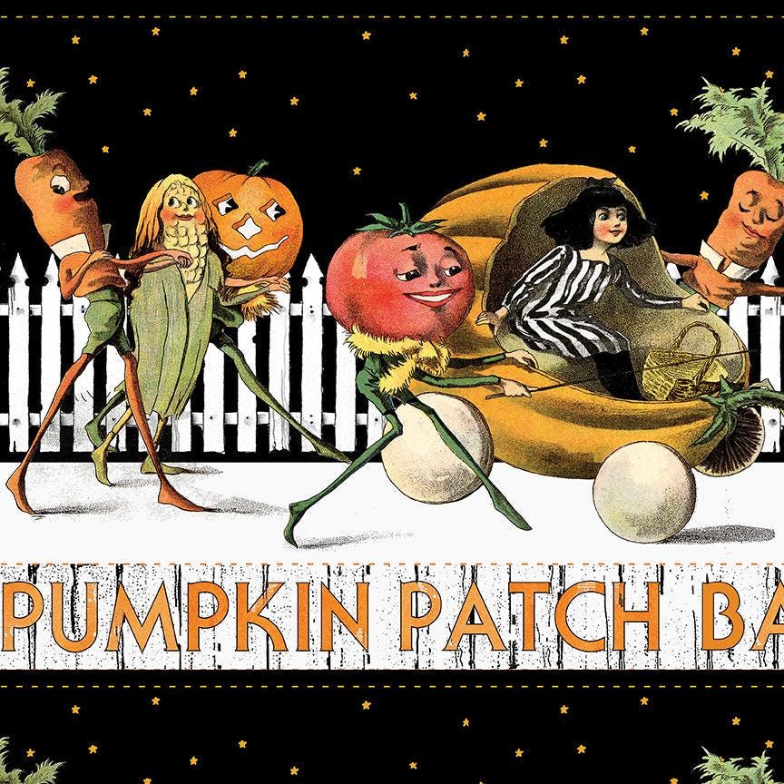 Pumpkin Patch Barn Dance Border Stripe White CD14573-WHITE by J. Wecker Frisch for Riley Blake Designs Sold in 1/2 Yard Incremdnts