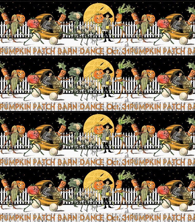 Pumpkin Patch Barn Dance Border Stripe White CD14573-WHITE by J. Wecker Frisch for Riley Blake Designs Sold in 1/2 Yard Incremdnts