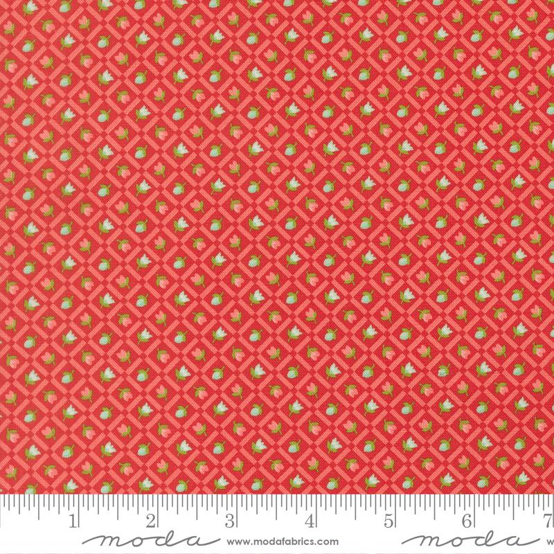 a red fabric with a repeating pattern of green and white flowers or leaves. The fabric has a diagonal pattern with a grid-like design, creating a visually appealing and textured appearance.