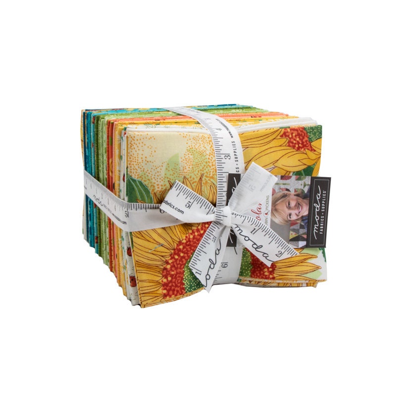 Solona Fat Quarter Bundle 38 prints by Robin Pickens for Moda 48680AB