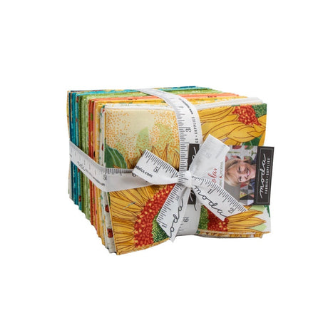 Solona Fat Quarter Bundle 38 prints by Robin Pickens for Moda 48680AB