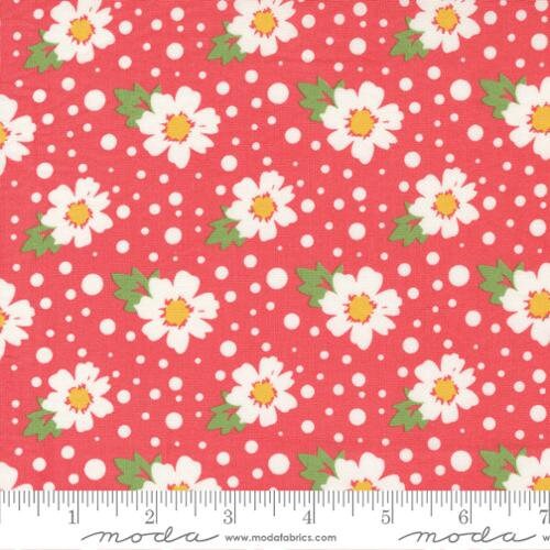 Zinnia Daisy Flamingo Yardage 24131 14 by April Rosenthal Sold in 1/2 yard increments
