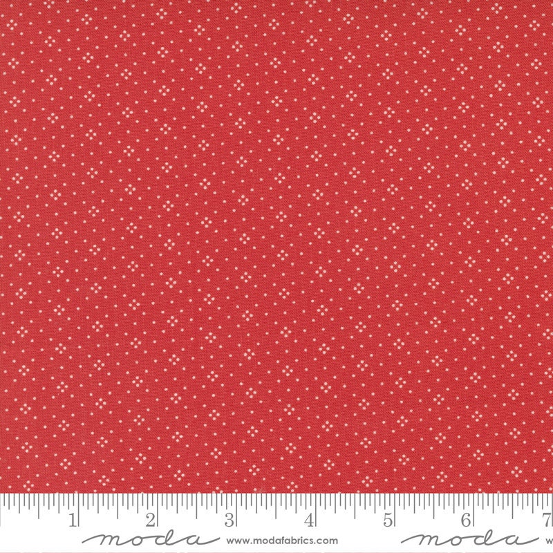 Fruit Cocktail Eyelet Cherry by Fig Tree and Co. 20457-45 Sold in 1/2 yard increments
