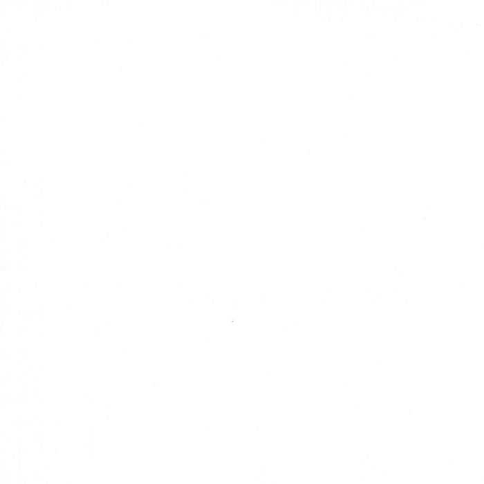 Modern Background Paper White on White Handwriting 2 yard cut 1580-11 by Zen Chic