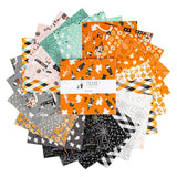 Frank and Friends 10 Inch Stacker, 42 Pcs. by My Minds Eye for Riley Blake Designs precut 10 inch squares