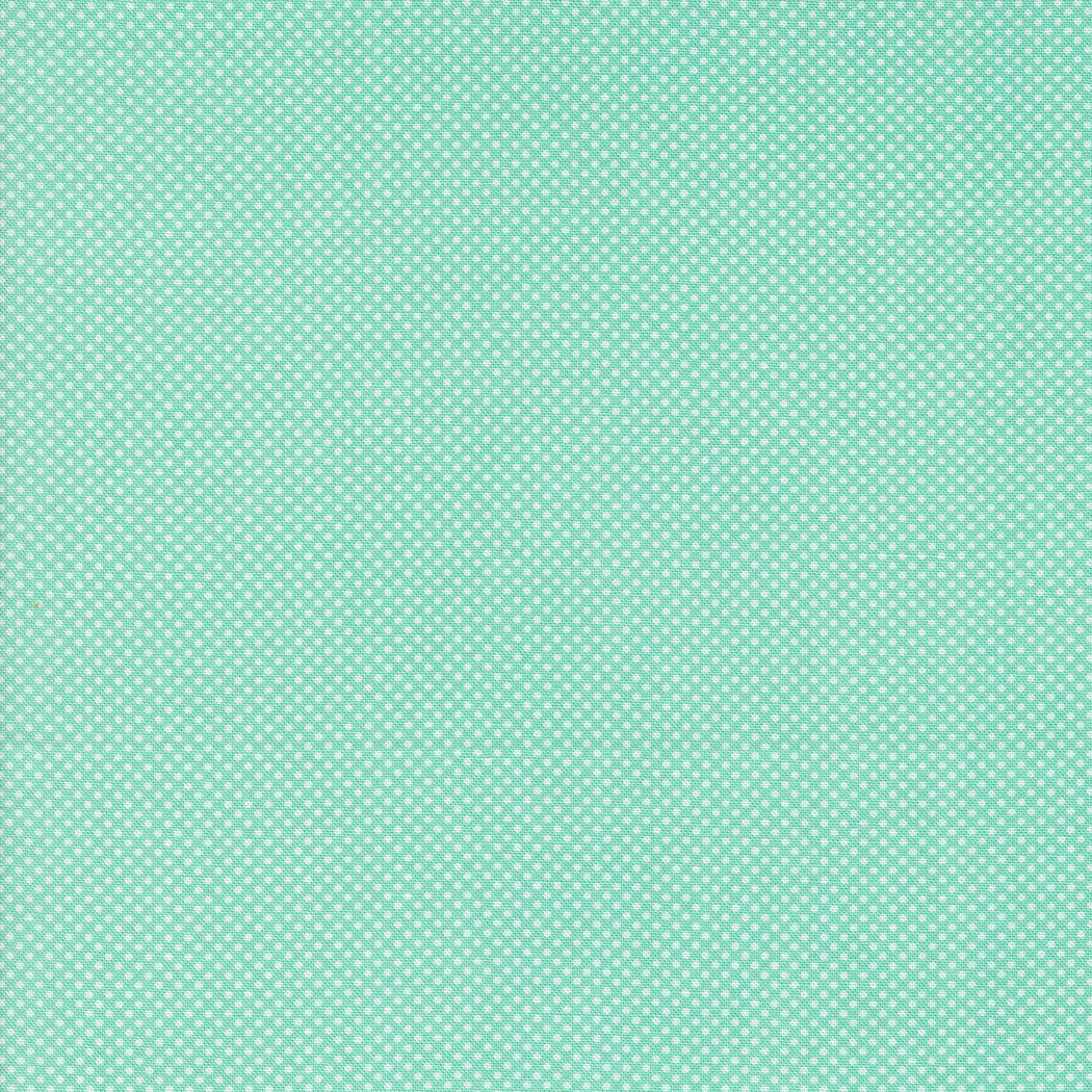Coriander Colors Tiny Dot Aqua 29205-27 by Corey Yoder for Moda Fabrics Sold in 1/2 yard increments