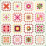 2027 Riley Blake Designs Block Challenge Quilt Kit