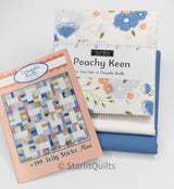 Jelly Sticks Mini Quilt Kit by Coriander Quilts CQ199 includes Pattern and fabric to make the top
