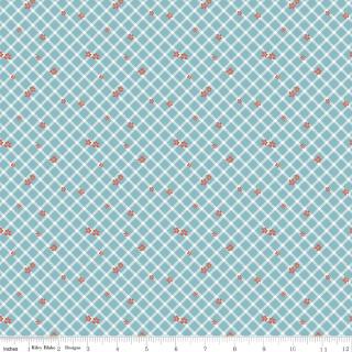 Albion Floral Plaid Dream Yardage C14596-DREAM  by Amy Smart Sold in 1/2 Yard increments