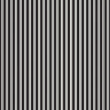 Sophisticated Halloween Ticking Black Sophisticated Halloween by My Mind's Eye for Riley Blake Designs Sold in 1/2 Yard Increments