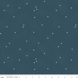 Dainty Daisy Stargazer Yardage C665-STARGAZER by Beverly McCullough for Riley Blake Designs