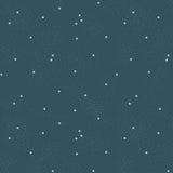 Dainty Daisy Stargazer Yardage C665-STARGAZER by Beverly McCullough for Riley Blake Designs