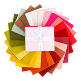 2027 Riley Blake Designs Block Challenge Quilt Kit