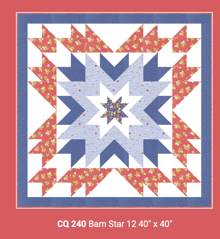 Fruit Salad Barn Star 12 kit