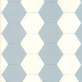 Victoria Blue Eyes Courtyard Yardage SKU# 44162-12 continuous cut in 1/2 yard