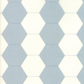 Victoria Blue Eyes Courtyard Yardage SKU# 44162-12 continuous cut in 1/2 yard