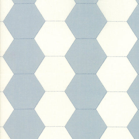 Victoria Blue Eyes Courtyard Yardage SKU# 44162-12 continuous cut in 1/2 yard