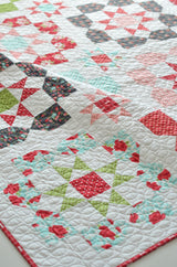 Lighthearted pattern TBL227 82” x 82” quilt Printed Pattern ONLY