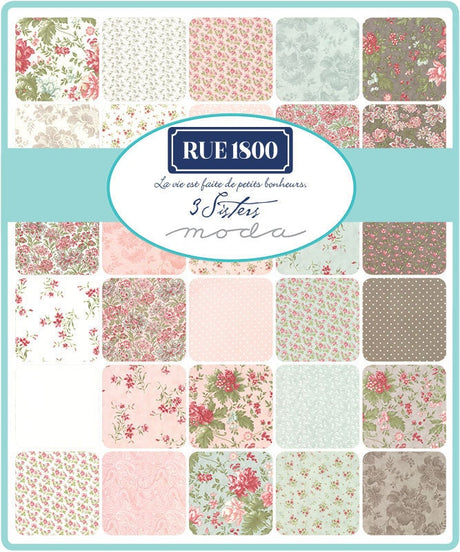 Rue 1800 Madeline Cobblestone yardage 44222-14 by 3 Sisters for Moda Fabrics 1/2 year increments continuous yardage cut