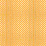Prim Posy Daisy Yardage C9702-DAISY Sold in 1/2 yard increments