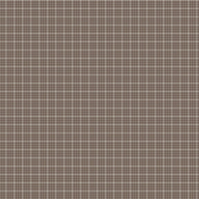 Prim Evenweave Pebble Yardage C9697-PEBBLE Sold in 1/2 yard increments