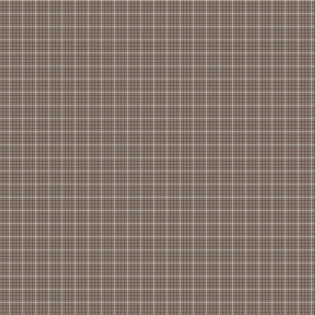 Prim Evenweave Pebble Yardage C9697-PEBBLE Sold in 1/2 yard increments