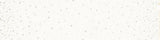 Ombre Fairy Dust Off White Yardage 10871-332M by Spectrum by V & Co. Sol in 1/2 yard Increments