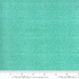 Cottage Bleu Ocean Yardage by Robin Pickens 48626-144 for Moda