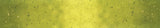 Ombre Galaxy Metallic Lime Green by V & Co. Half Yard Increments 10873-18m for Moda Fabrics